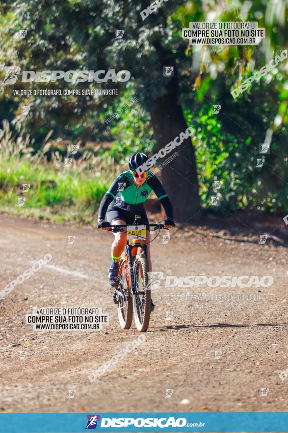 GP Godoy Moreira de XCM