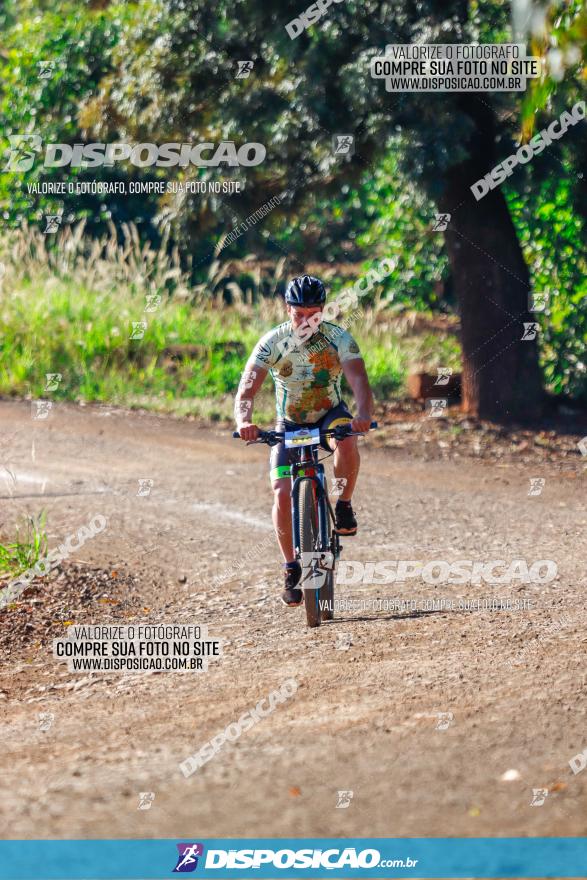 GP Godoy Moreira de XCM