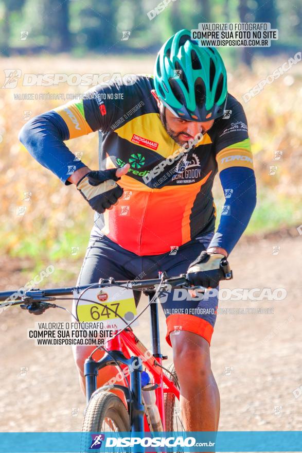 GP Godoy Moreira de XCM