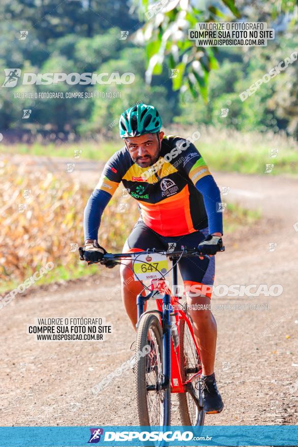 GP Godoy Moreira de XCM