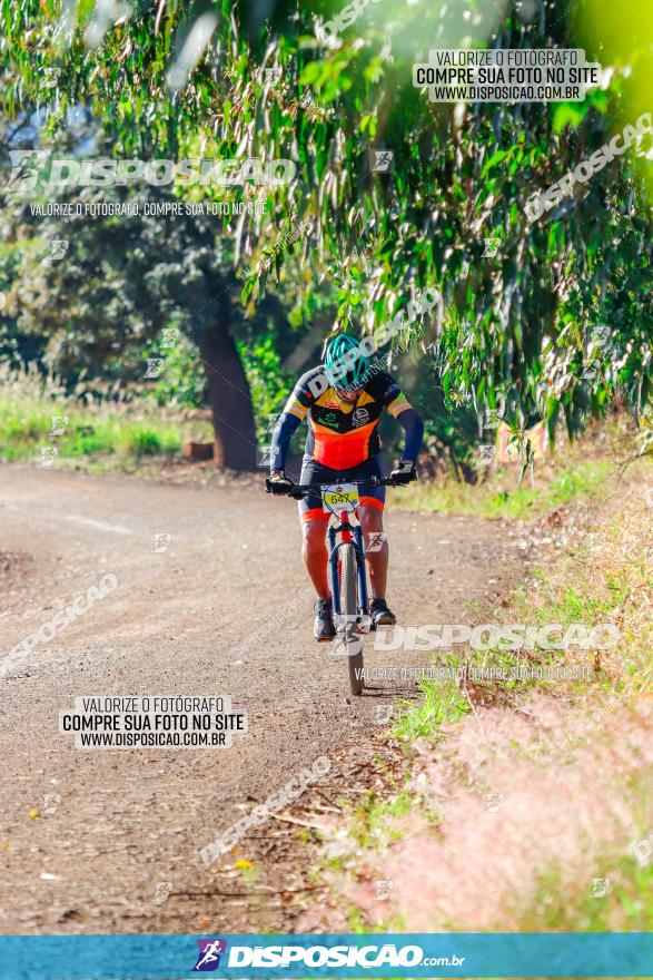 GP Godoy Moreira de XCM