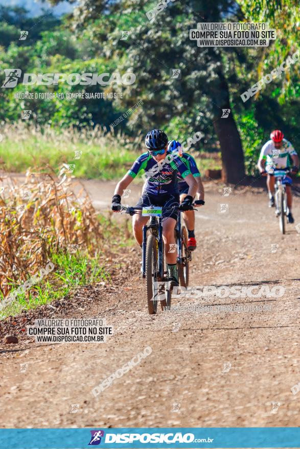 GP Godoy Moreira de XCM