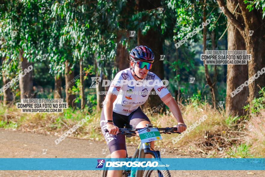 GP Godoy Moreira de XCM