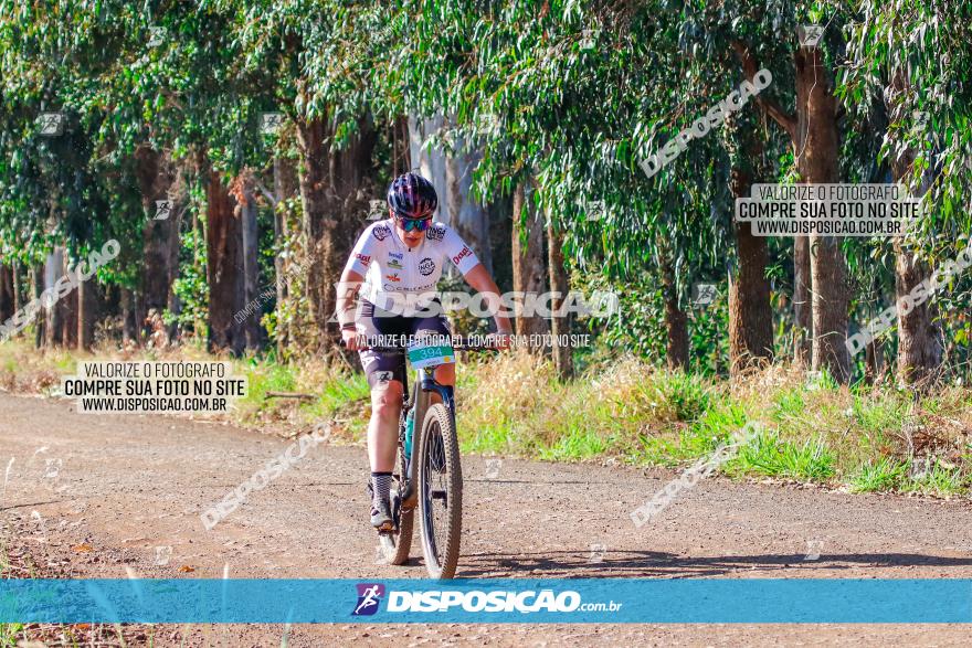 GP Godoy Moreira de XCM