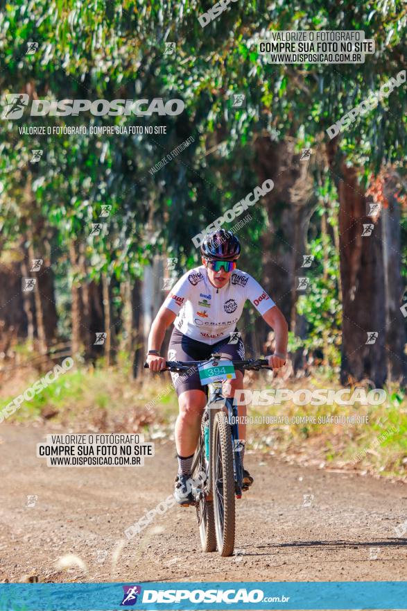 GP Godoy Moreira de XCM