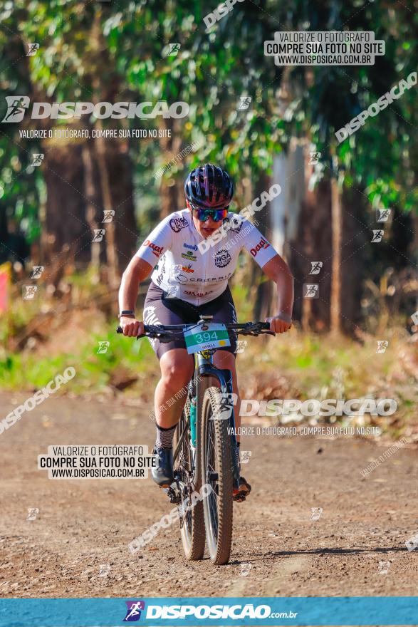 GP Godoy Moreira de XCM