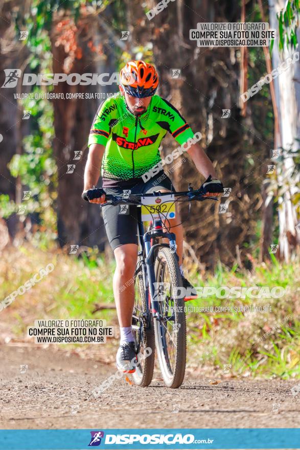 GP Godoy Moreira de XCM