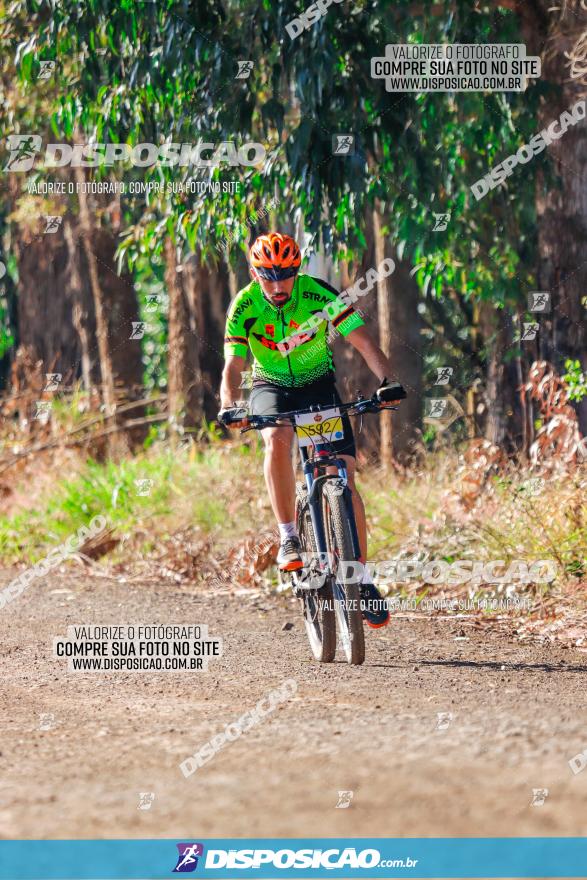 GP Godoy Moreira de XCM