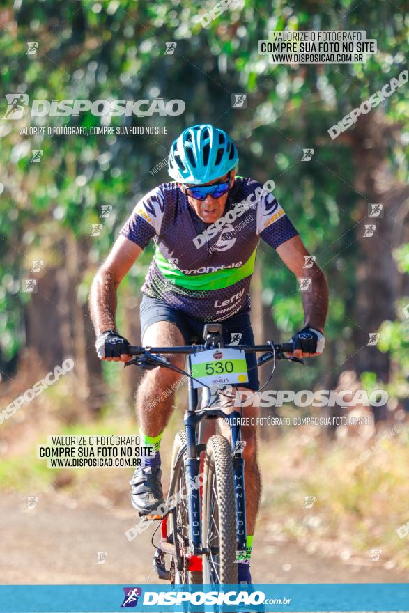 GP Godoy Moreira de XCM