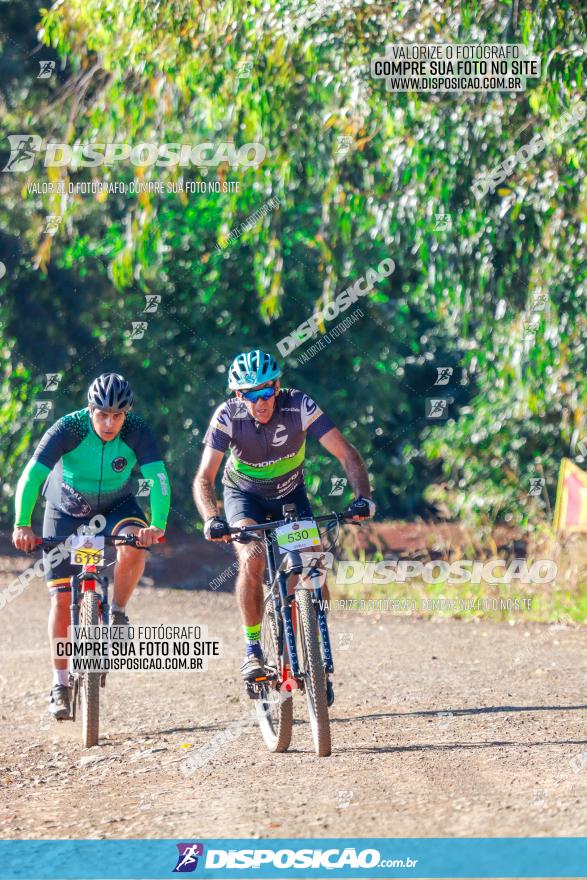 GP Godoy Moreira de XCM