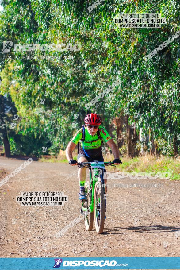 GP Godoy Moreira de XCM