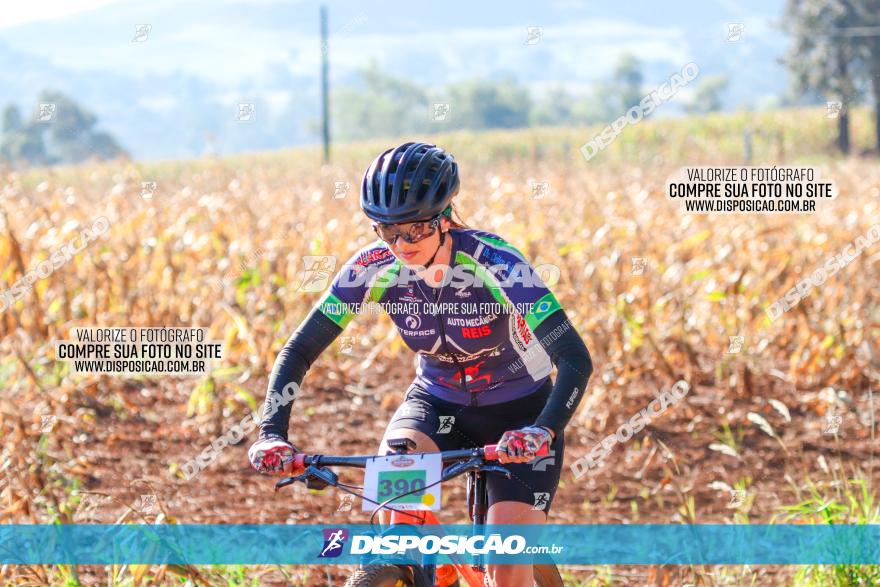 GP Godoy Moreira de XCM