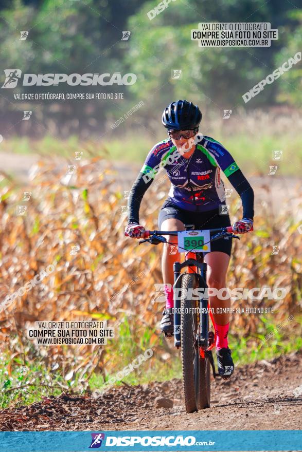 GP Godoy Moreira de XCM