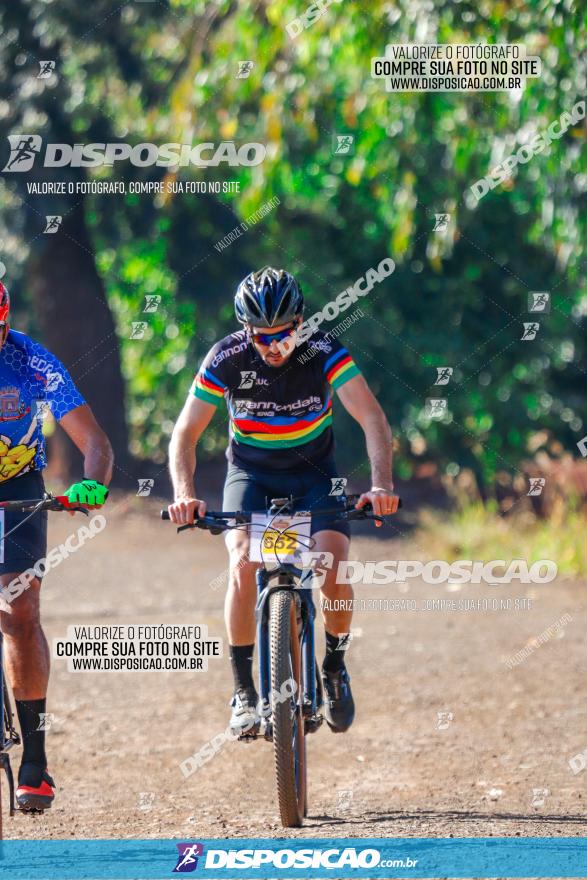 GP Godoy Moreira de XCM