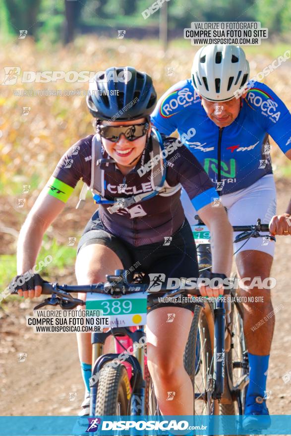 GP Godoy Moreira de XCM