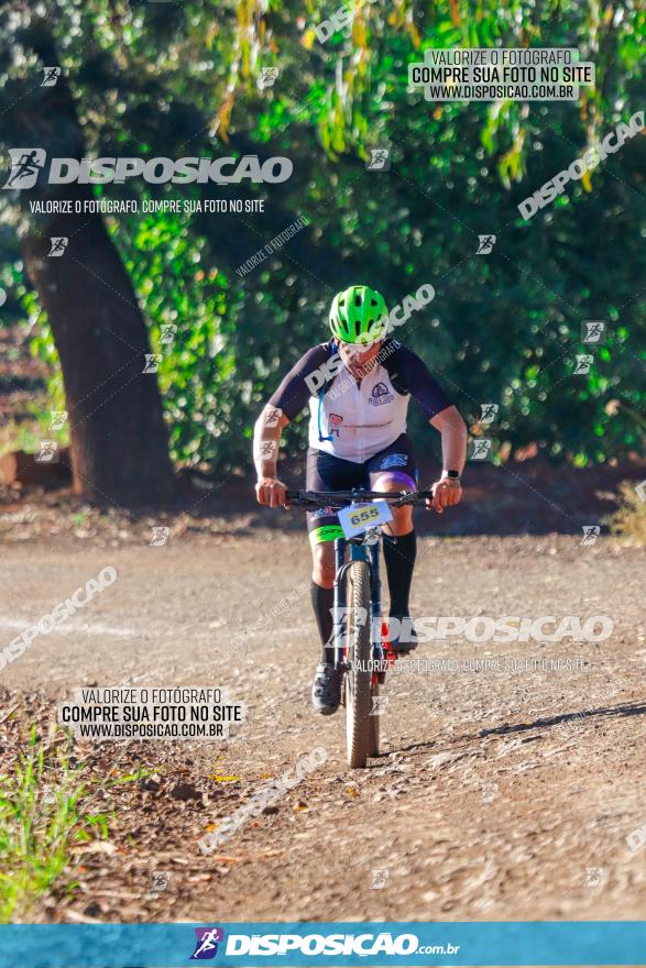 GP Godoy Moreira de XCM