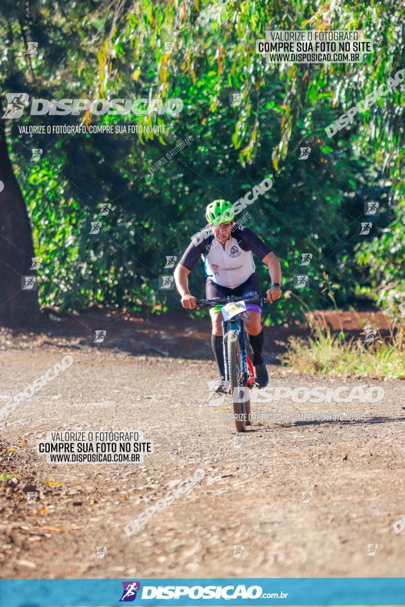 GP Godoy Moreira de XCM