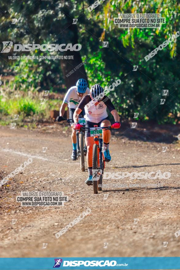 GP Godoy Moreira de XCM