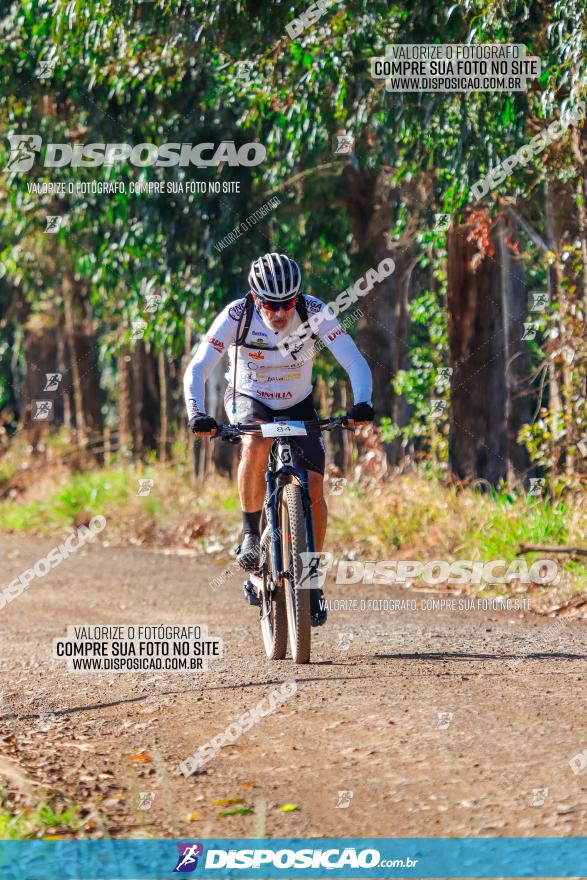 GP Godoy Moreira de XCM