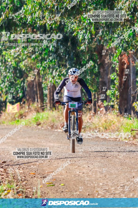 GP Godoy Moreira de XCM