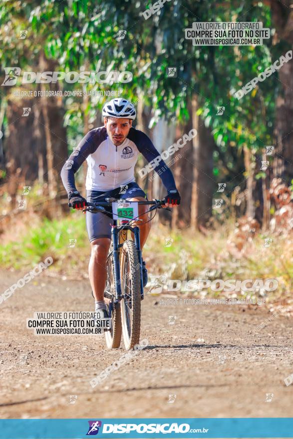 GP Godoy Moreira de XCM