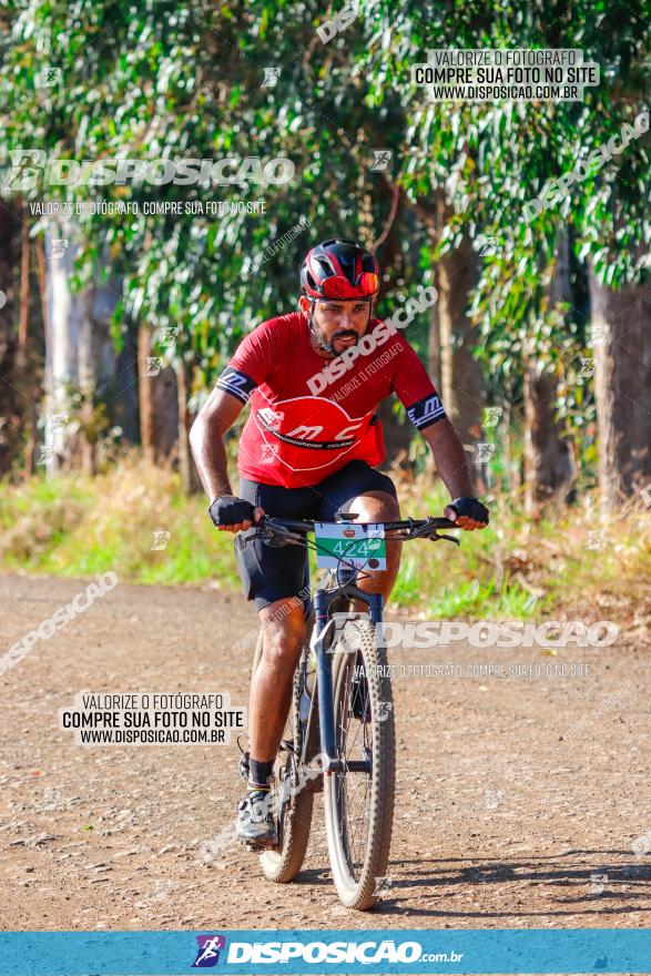 GP Godoy Moreira de XCM