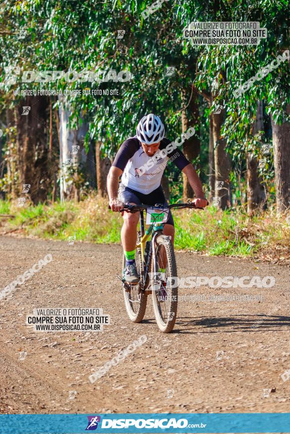 GP Godoy Moreira de XCM