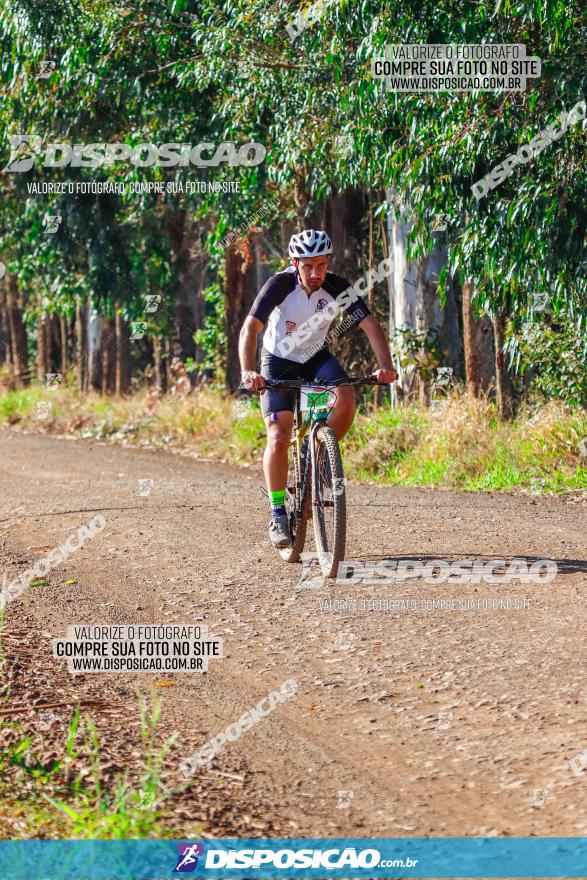 GP Godoy Moreira de XCM