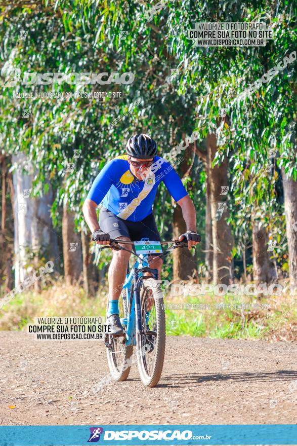 GP Godoy Moreira de XCM