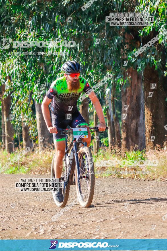 GP Godoy Moreira de XCM