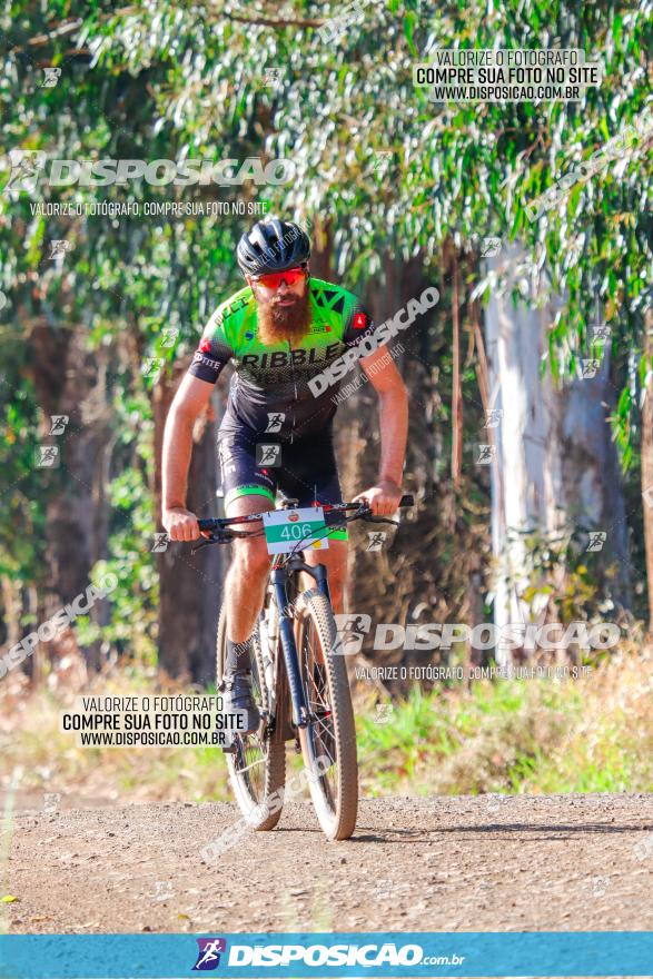 GP Godoy Moreira de XCM