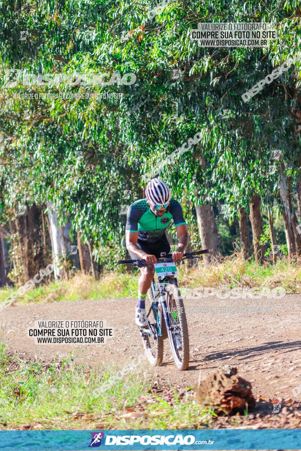 GP Godoy Moreira de XCM