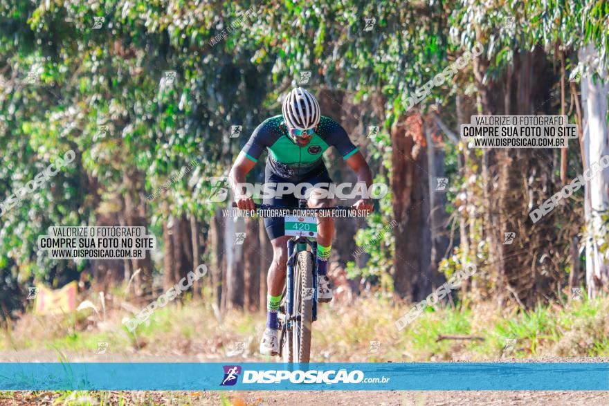 GP Godoy Moreira de XCM