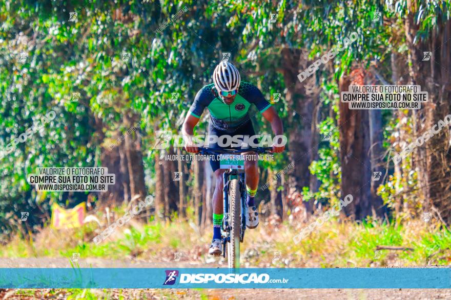 GP Godoy Moreira de XCM