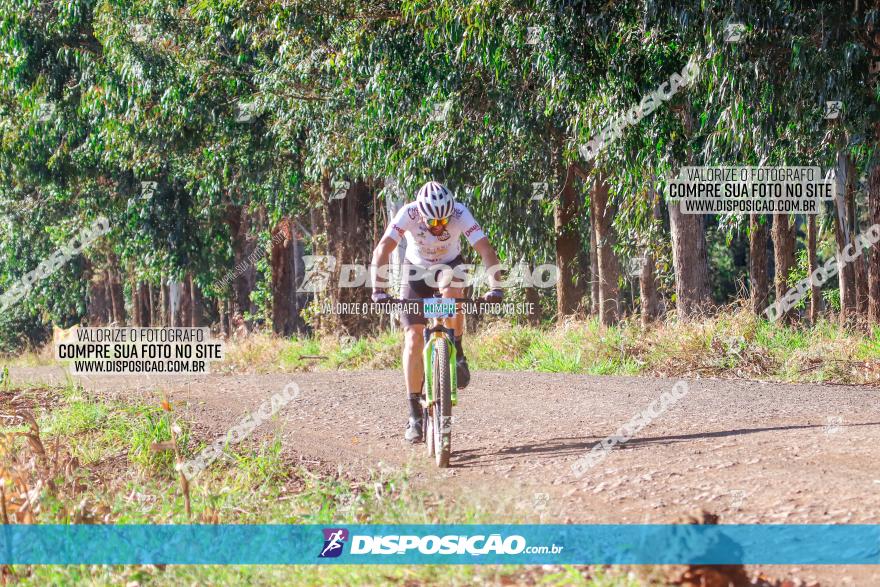 GP Godoy Moreira de XCM