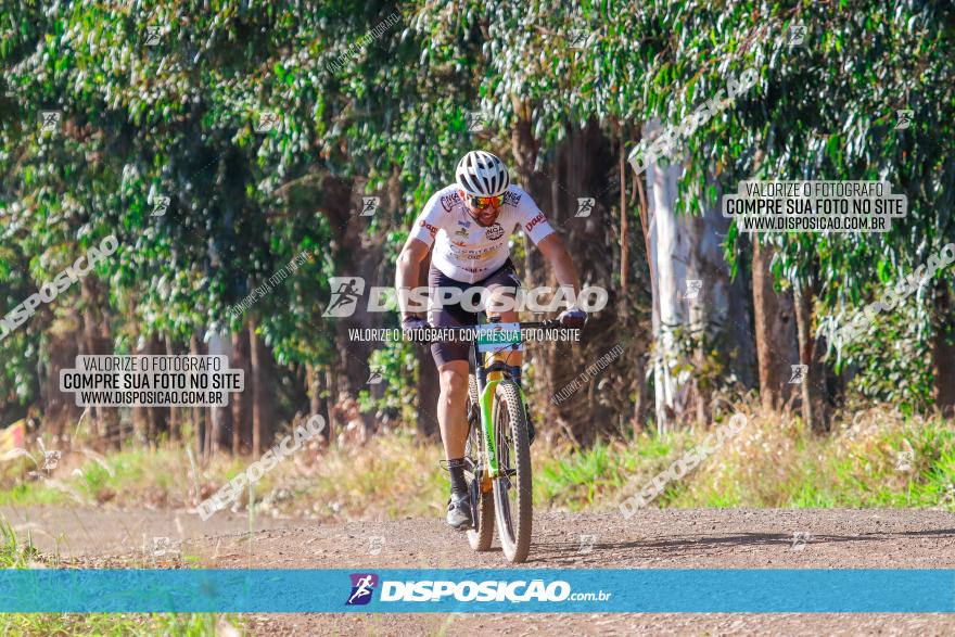 GP Godoy Moreira de XCM