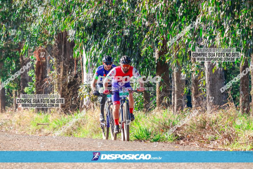 GP Godoy Moreira de XCM