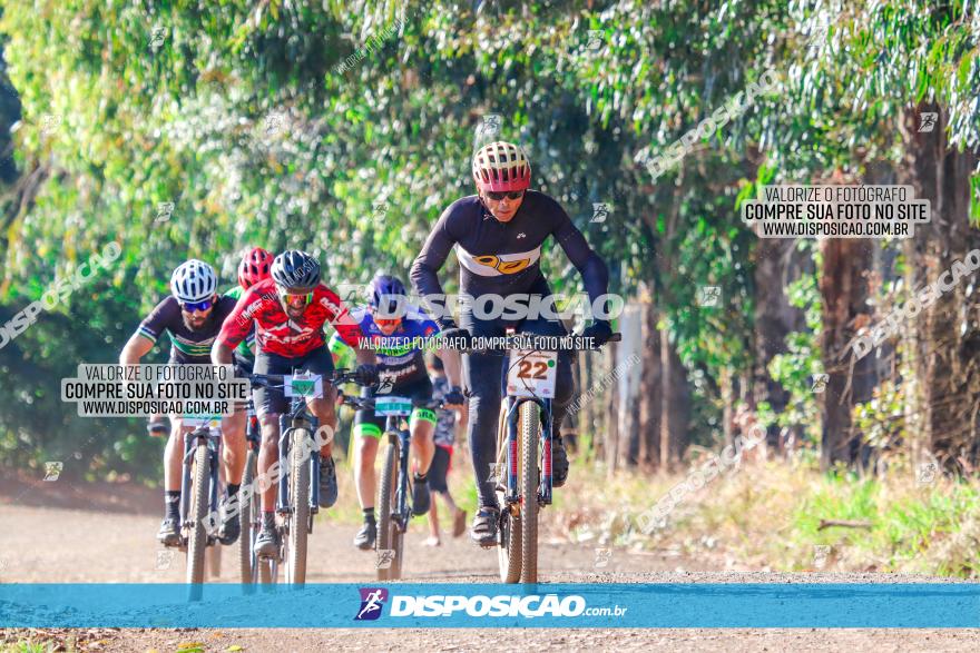 GP Godoy Moreira de XCM