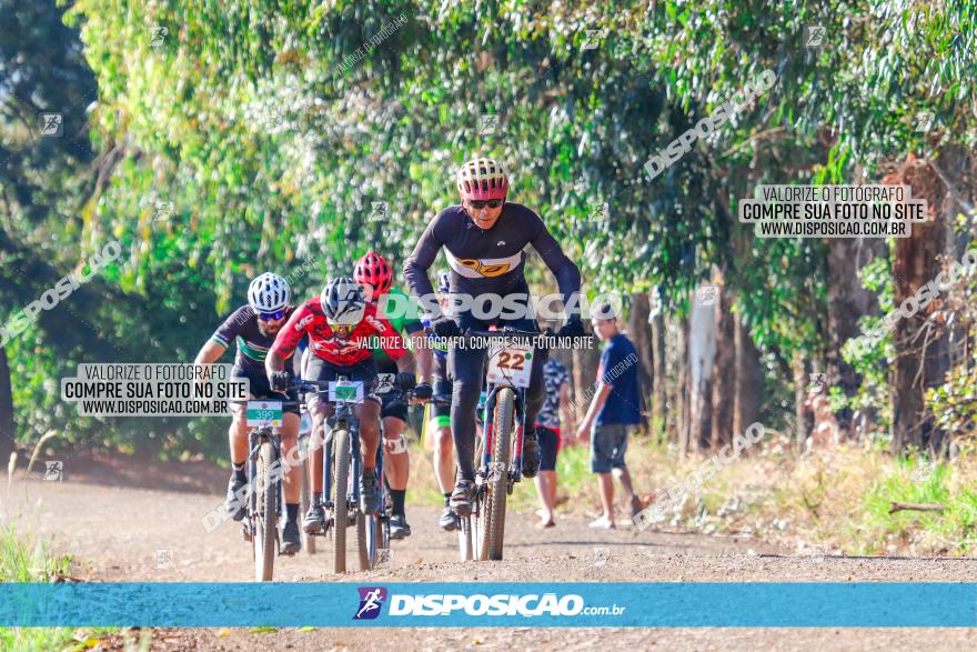 GP Godoy Moreira de XCM