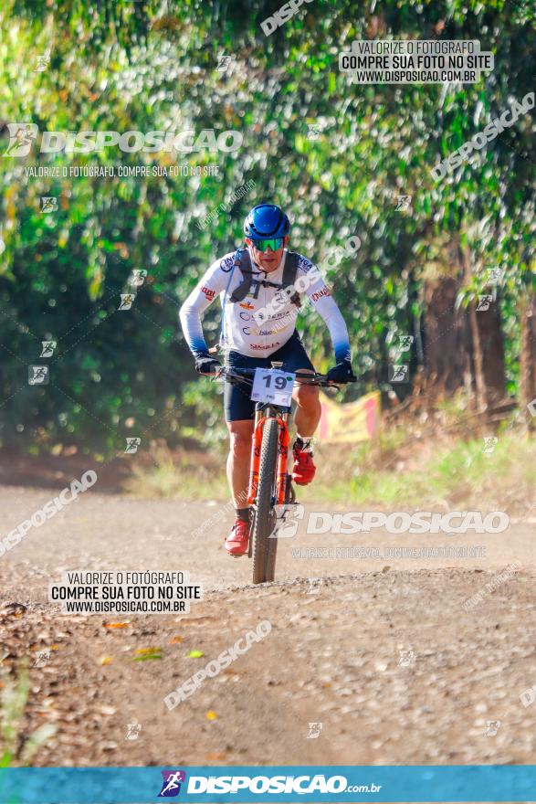 GP Godoy Moreira de XCM