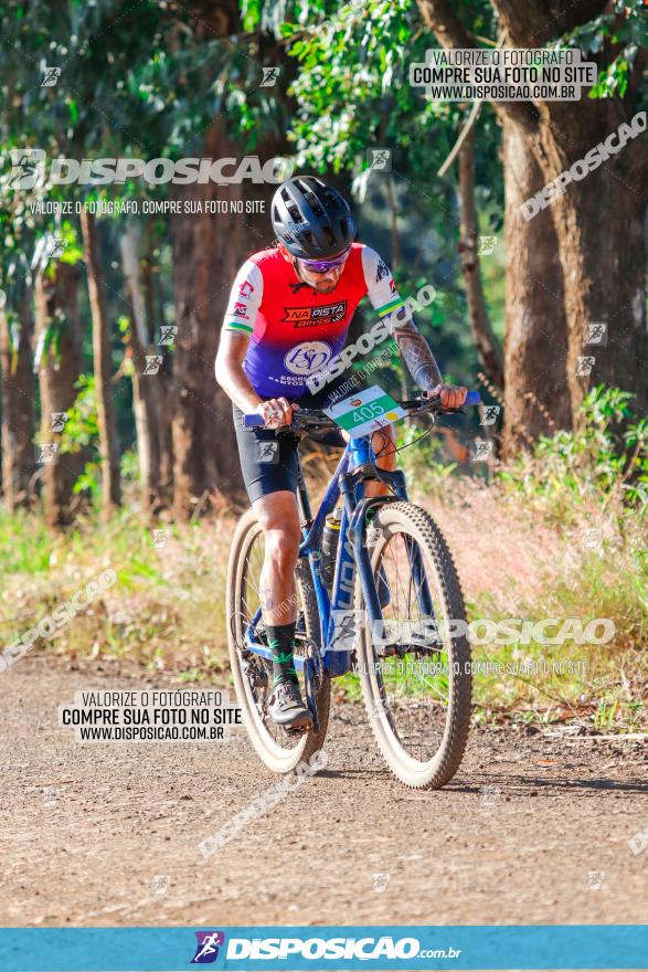 GP Godoy Moreira de XCM