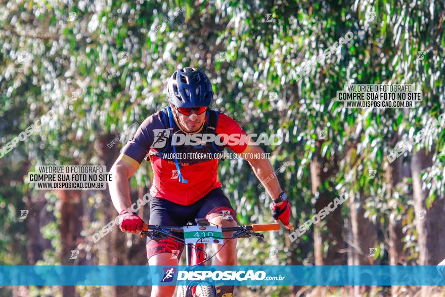 GP Godoy Moreira de XCM