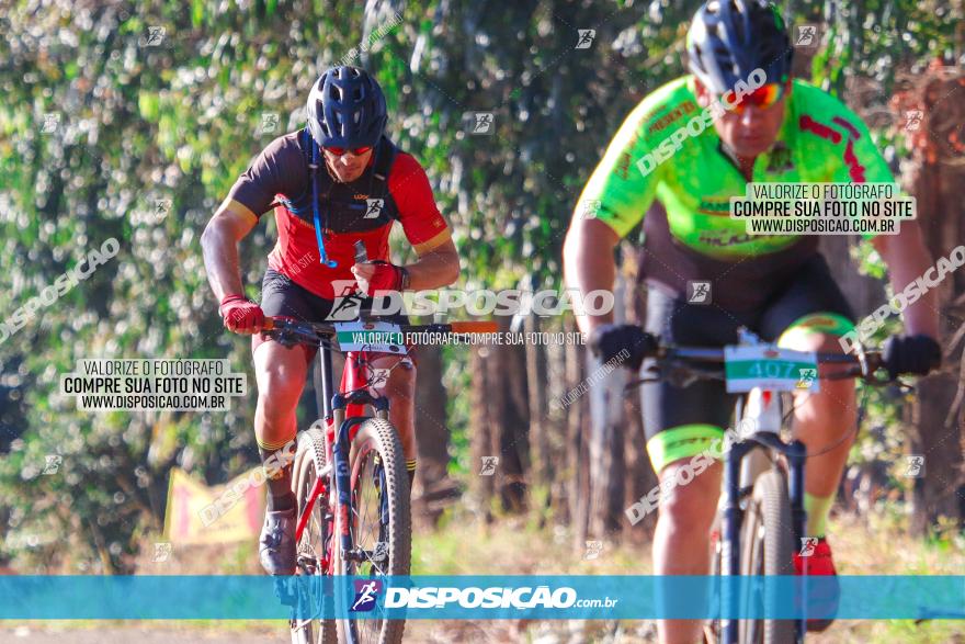 GP Godoy Moreira de XCM