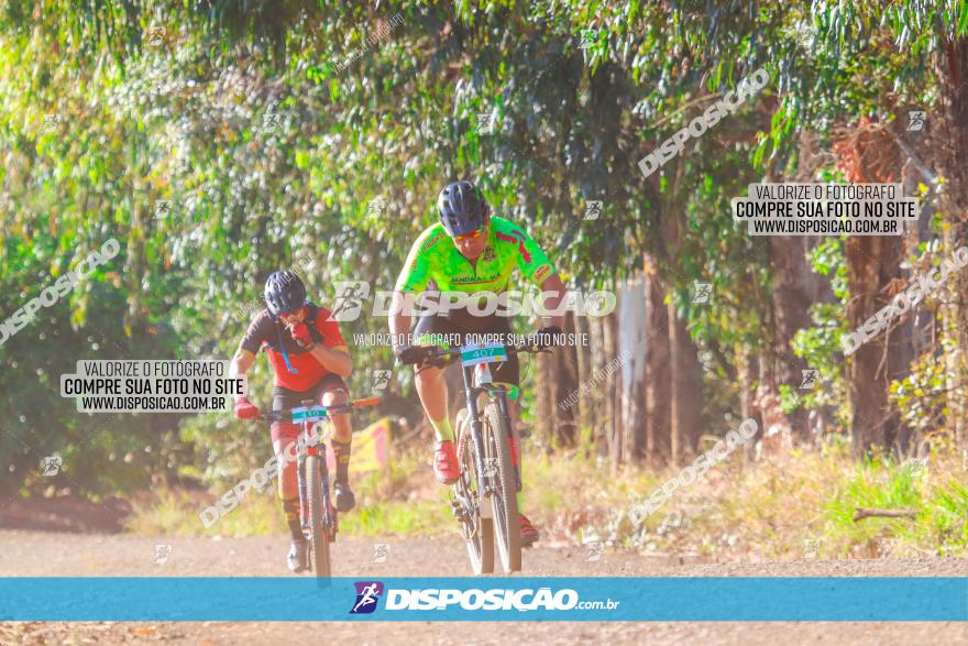 GP Godoy Moreira de XCM