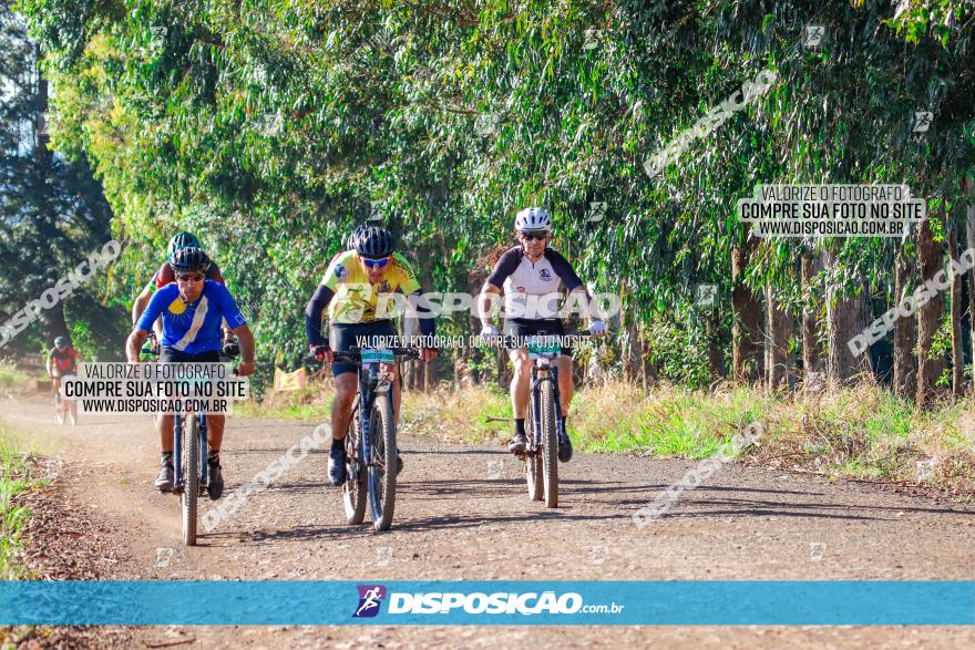 GP Godoy Moreira de XCM