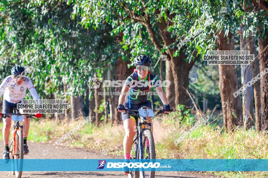 GP Godoy Moreira de XCM