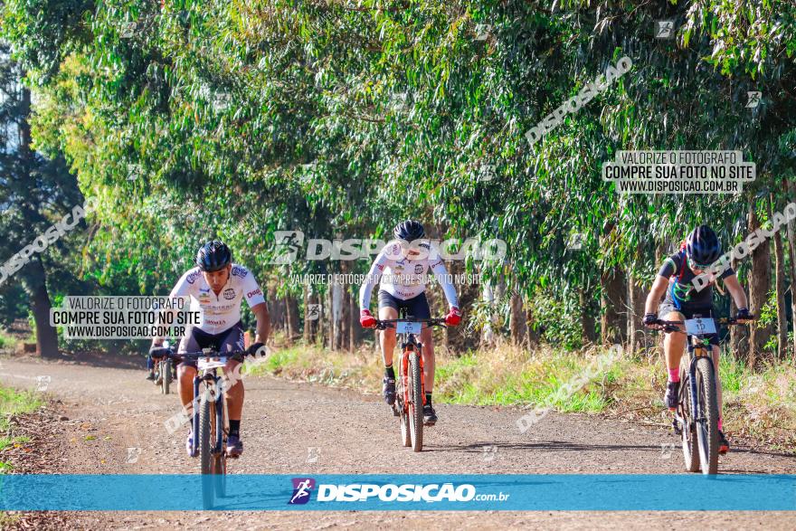 GP Godoy Moreira de XCM