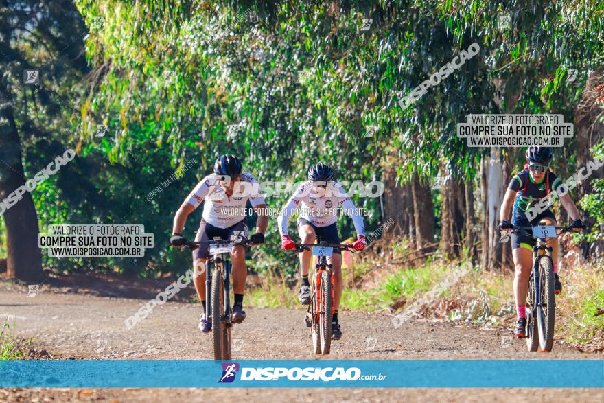 GP Godoy Moreira de XCM