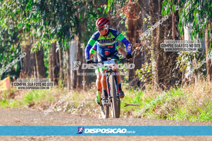 GP Godoy Moreira de XCM