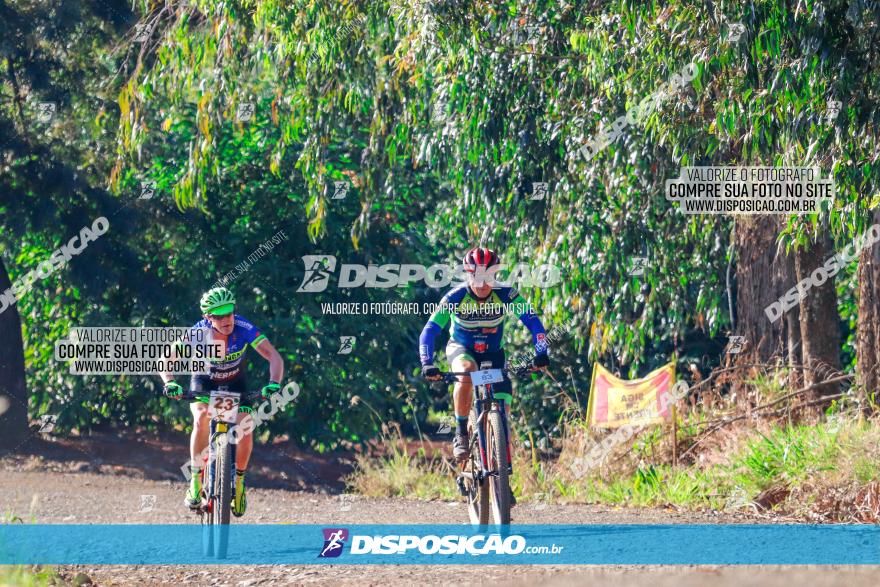 GP Godoy Moreira de XCM